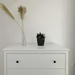 Apartment 'traveller Lodge' Grosszuegiges - 3 Bedroom 10min To Hbf, Full Kitchen, Homeoffice, Netflix, Wifi Dusseldorf