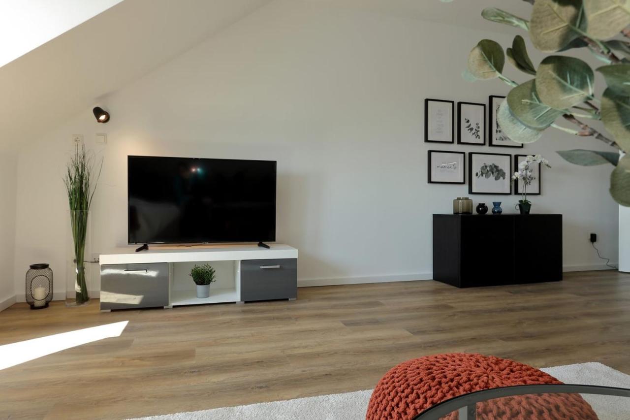 'traveller Lodge' Grosszuegiges - 3 Bedroom 10min To Hbf, Full Kitchen, Homeoffice, Netflix, Wifi Apartment *